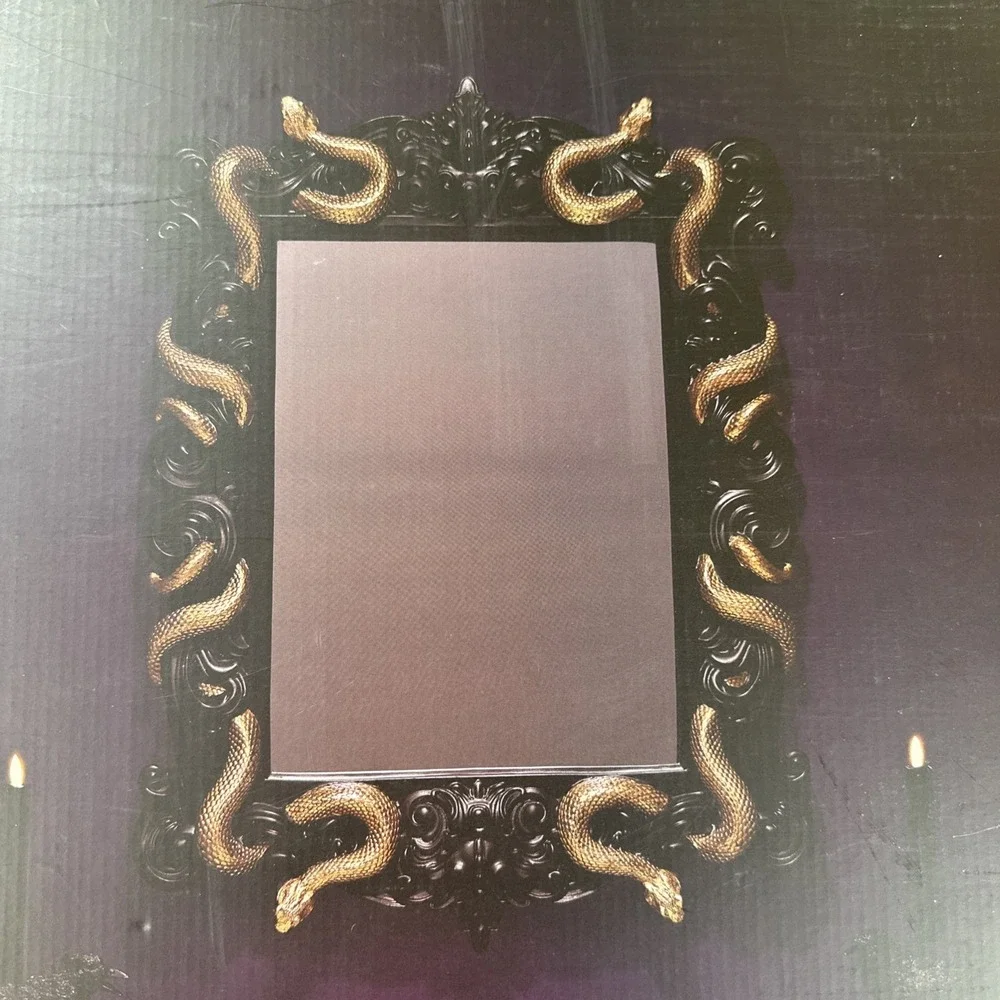 CHRISTIAN SIRIANO NY Large Framed Mirror w/ Gold Snake Halloween Decor 28
